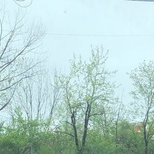 Meet your Posher, Ann